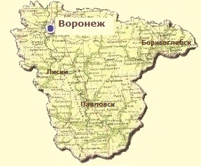 в Воронежскую область из Москвы на такси Воронежская область